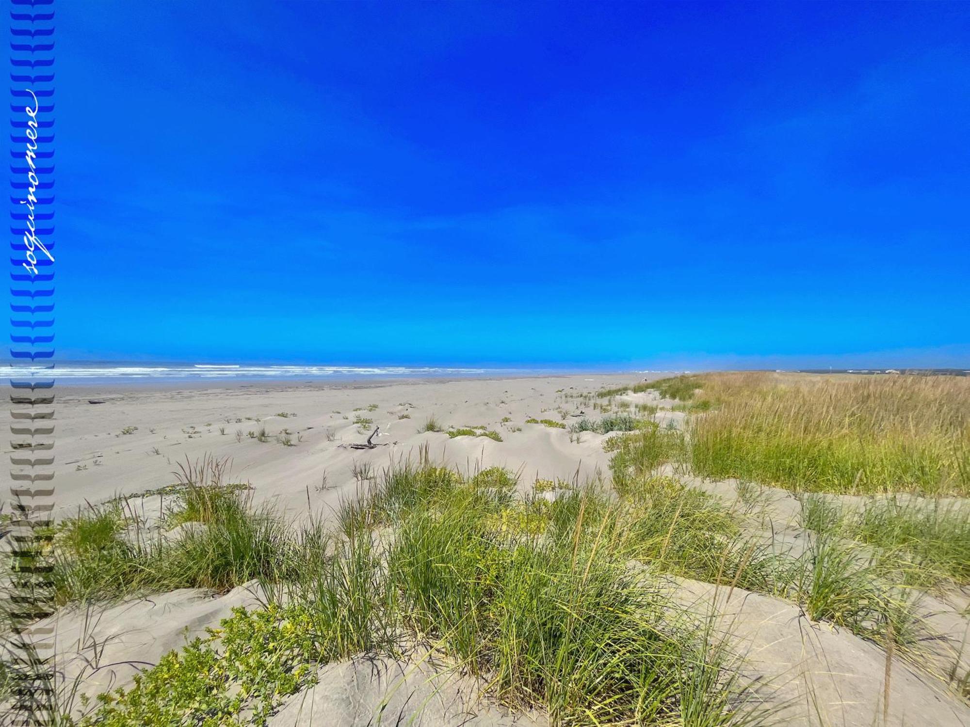Tide Pool Cabin, A Soquinomere Private On The Dunes, Downtown Hébergement de vacances